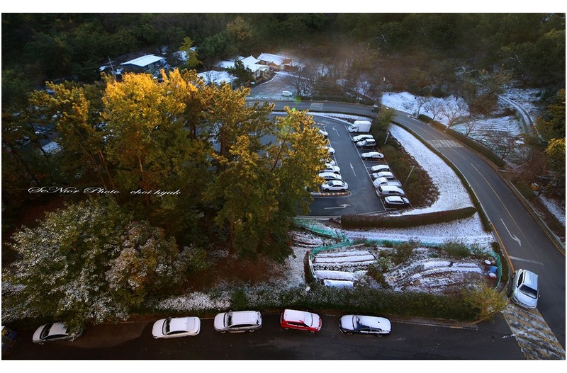 ㅡㅡㅡ   울산에 첫눈이 나렸어요   ㅡㅡㅡ