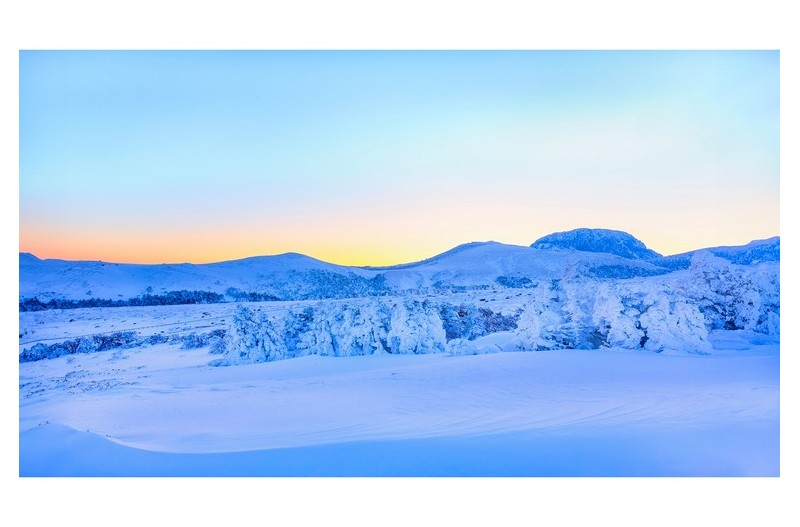 만세동산의 추억