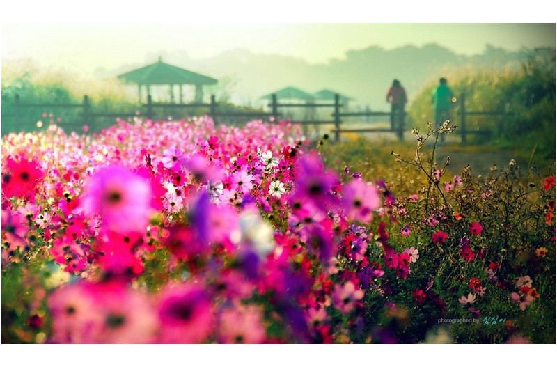 지난 흔적 중에...