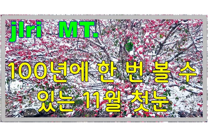 언제 이런 모습을 다시 볼까