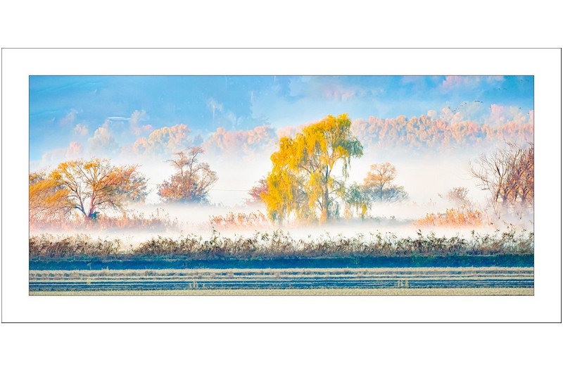 순천만의 가을..