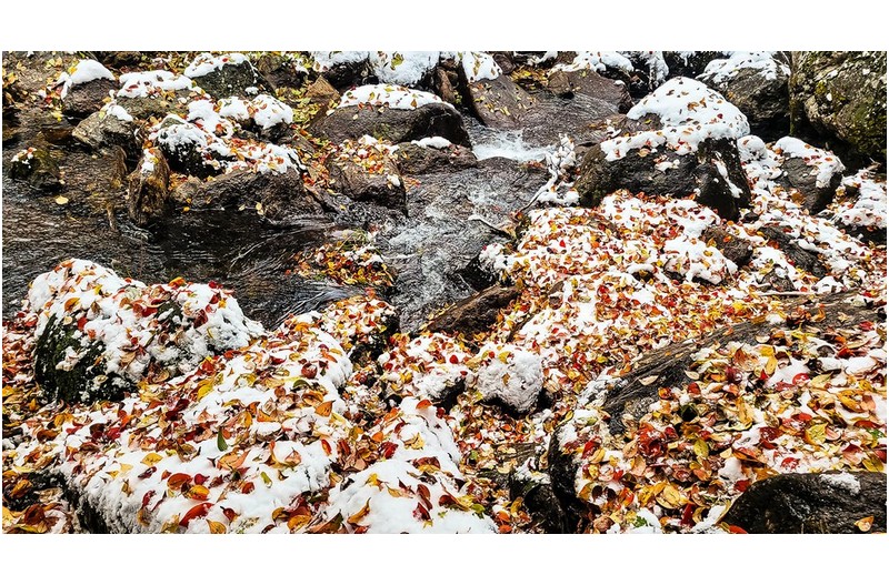 이런곳이 무릉도원이다.