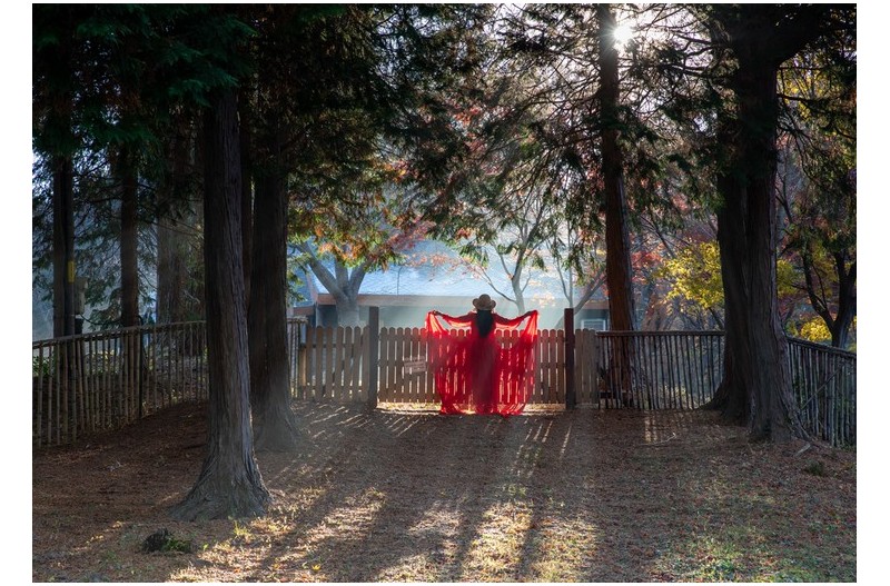 아침이 주는 선물