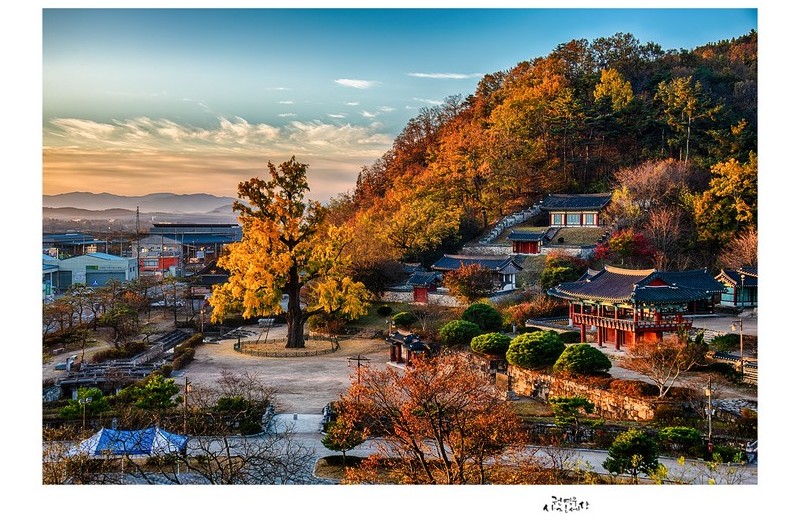 임고서원의 가을