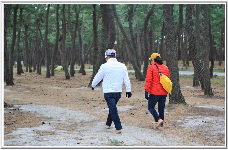 송림 내 맨발 산책