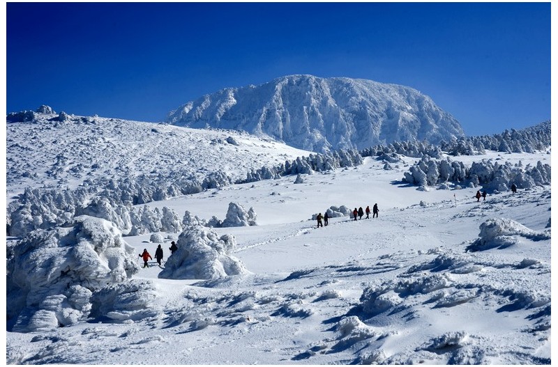 겨울의 왕국(한라산)