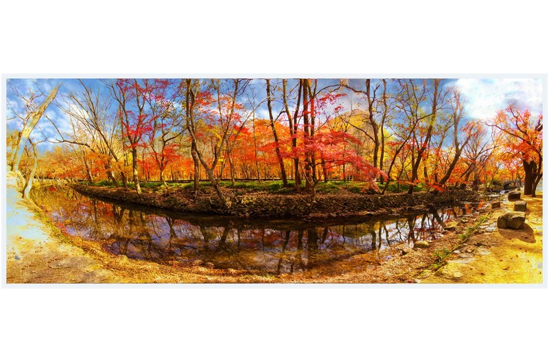 가을이 떨어진 날