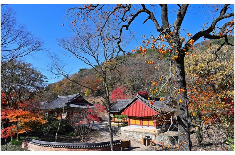 산사의 가을