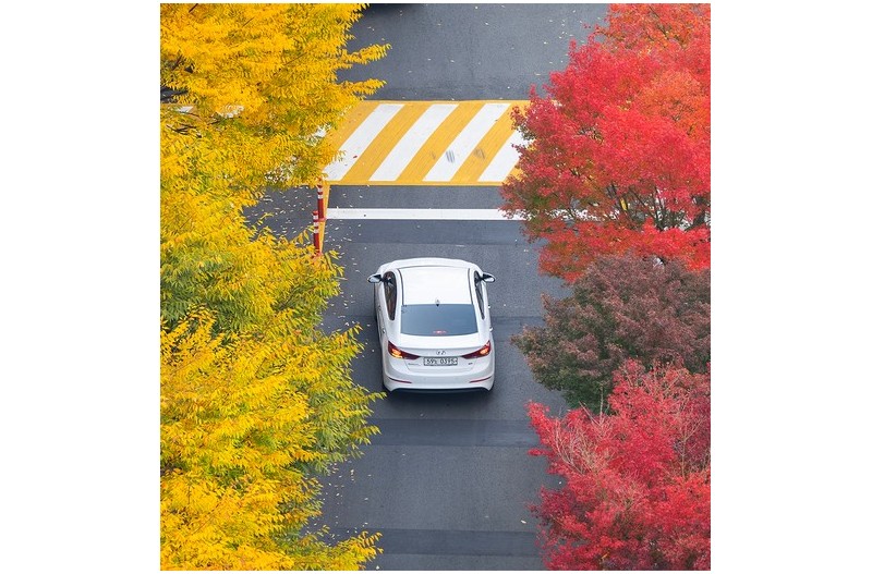 가을이 겨울로 가는~