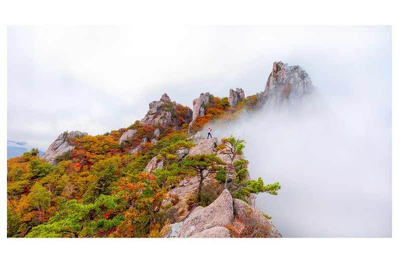 山 寫眞가 洪 美 蘭