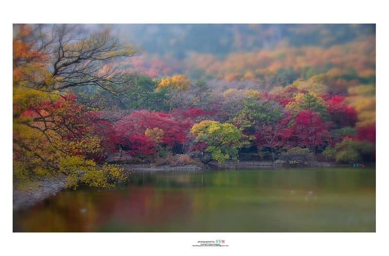 2023 진해 내수면연구소 가을 이미지...