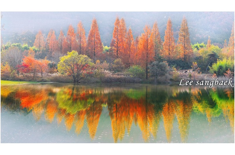 점점 멀어지는 가을