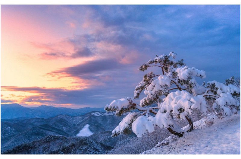 첫눈이 내리던날