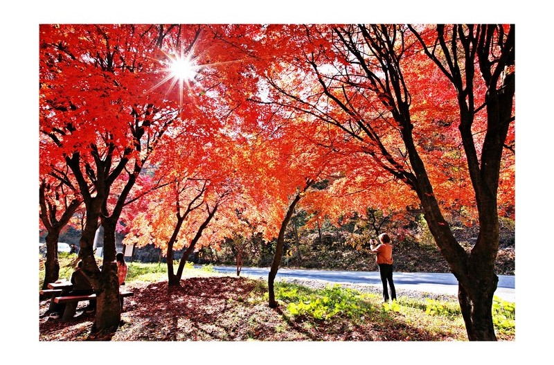 구인사 가는 길