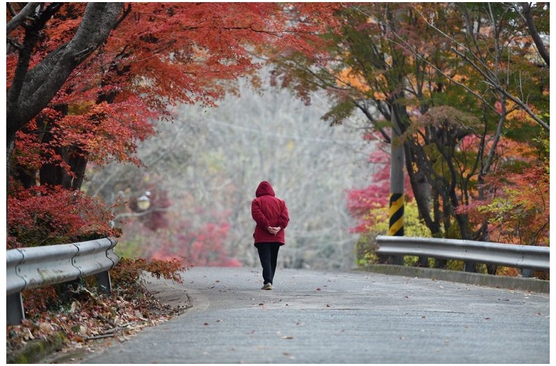 망진산 가는 길