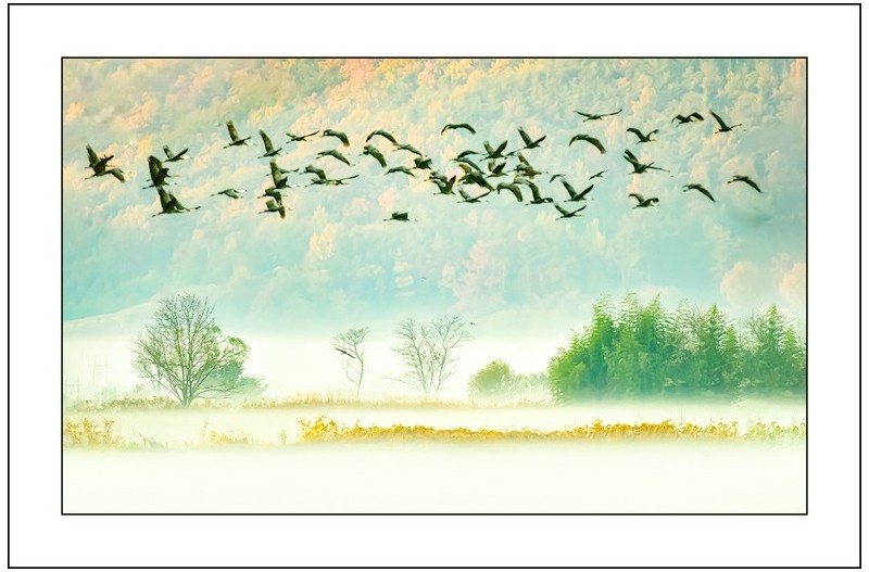 순천만의  아침...