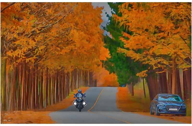 가을에게 겨울을 묻다