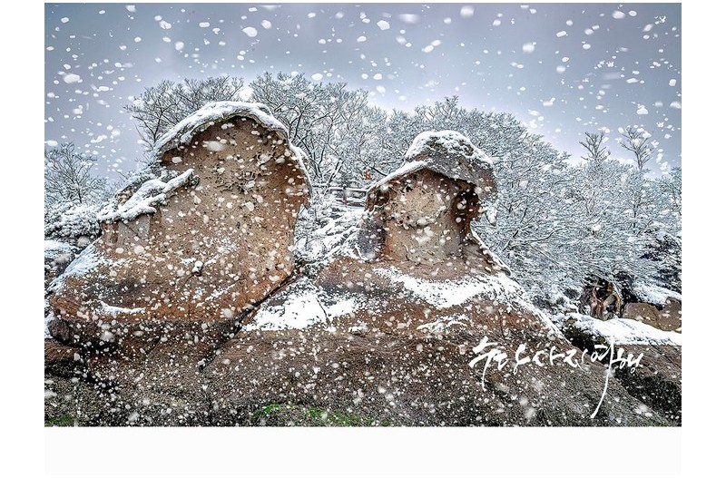 눈이내리던 날!