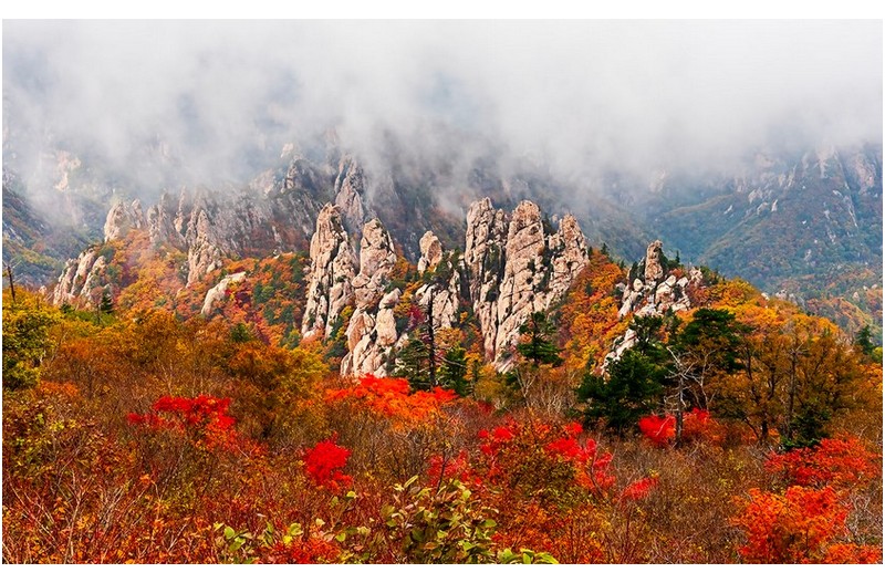 만추의 용아장성