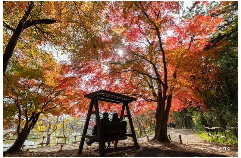 단풍 이제 마무리 ....