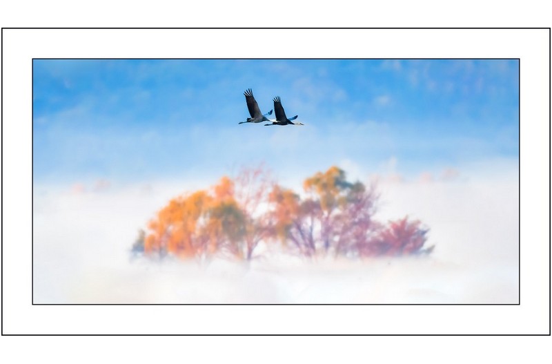 아름다운 비행..