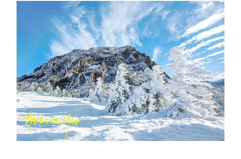 한라산 겨울나기