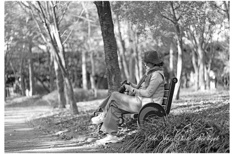 ㅡㅡㅡ   쉼터   ㅡㅡㅡ