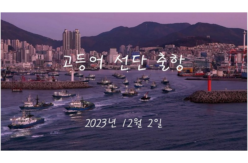 고등어선단 12월출항