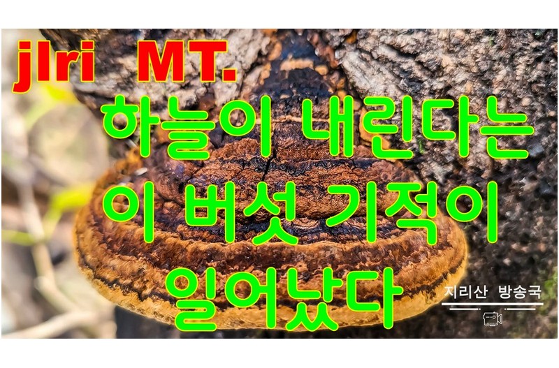 초대박 기적이 일어났다.