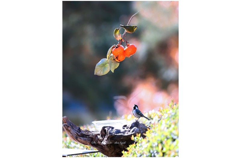 ㅡㅡㅡ   잘못된 만남   ㅡㅡㅡ