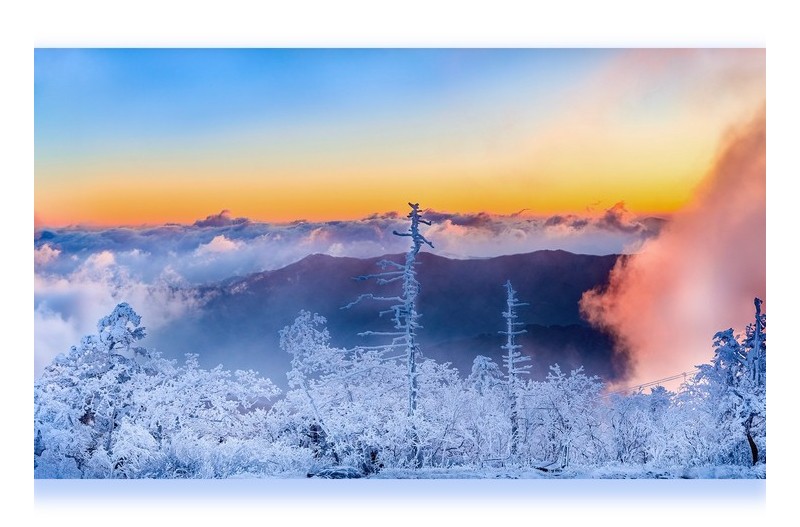 겨울이다!!! 전원 출발!!!