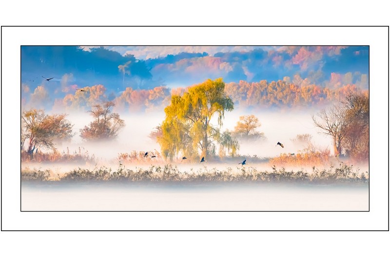 순천만의 아침...