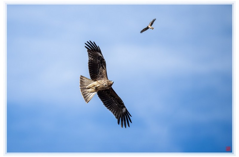 너무나 먼 당신