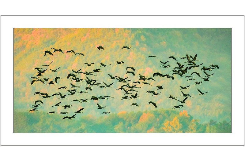 가을색을 찾아서,,,