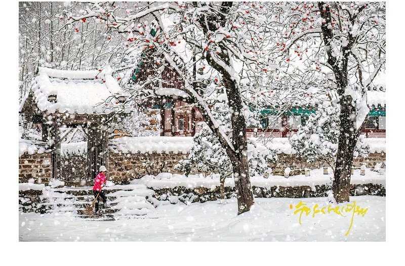 눈이내리던 날!