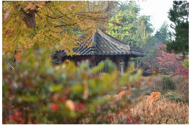 아침산책 남강변