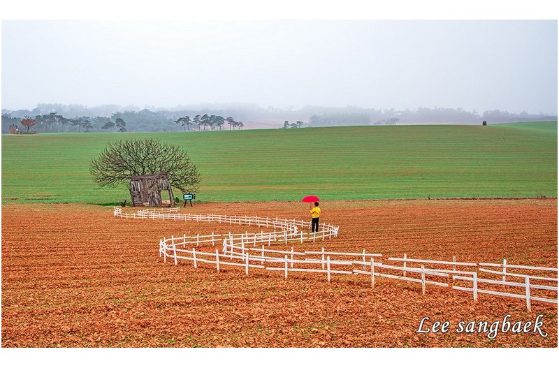 학원농장 아름다운 길
