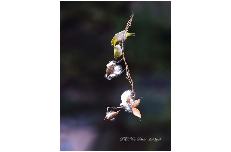 ㅡㅡㅡ   사랑 2   ㅡㅡㅡ