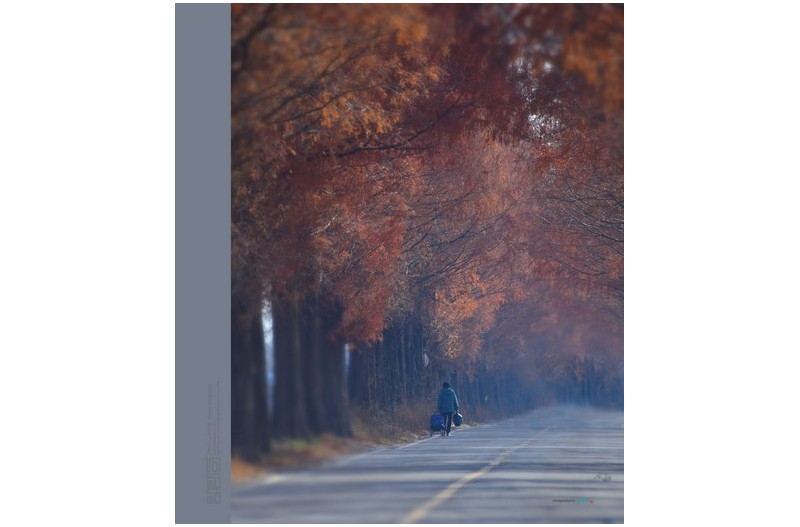 장에 가는 길...