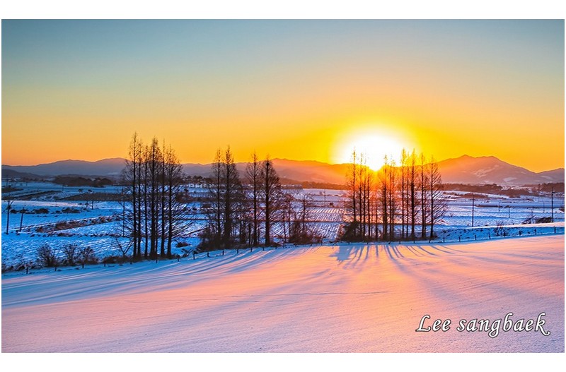 눈 내린 아침 빛