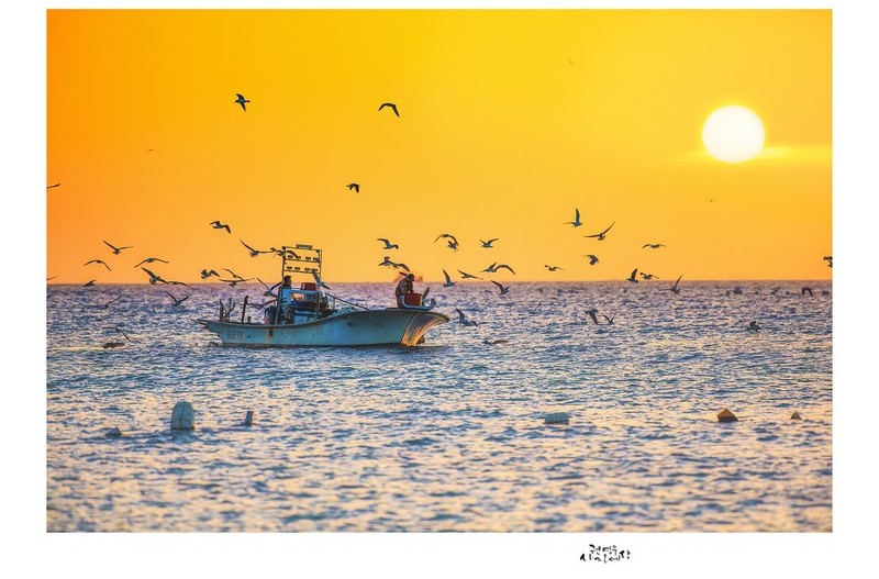 잊혀져가던 강양의 아침