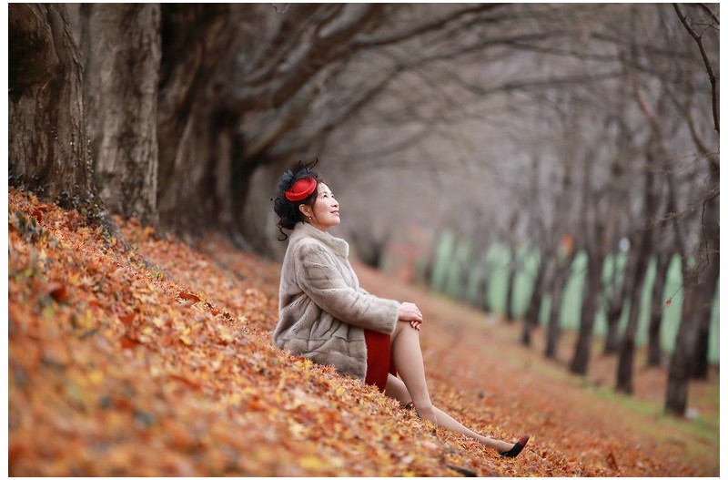 마지막 가을 사진