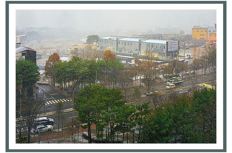 비내리던날...........