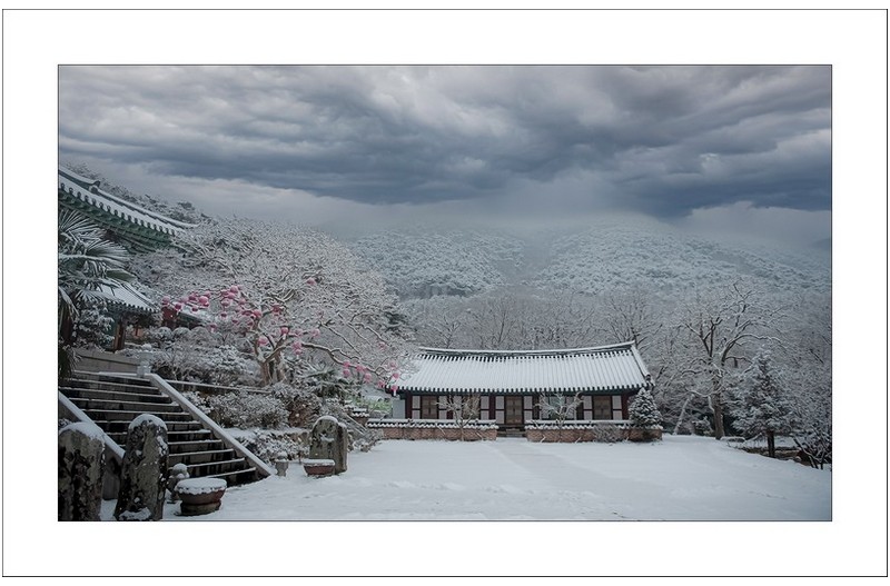 만연사의 겨울..