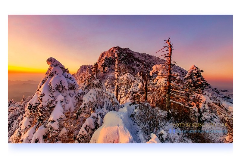 아름답던 날의 記憶