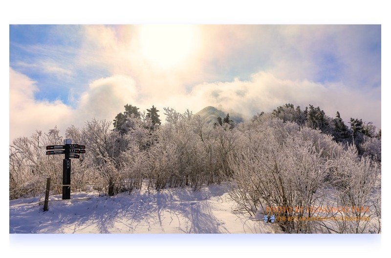 아름답던 날의 記憶