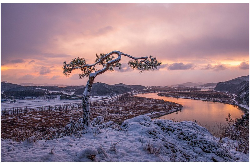 영산강(삼한지)