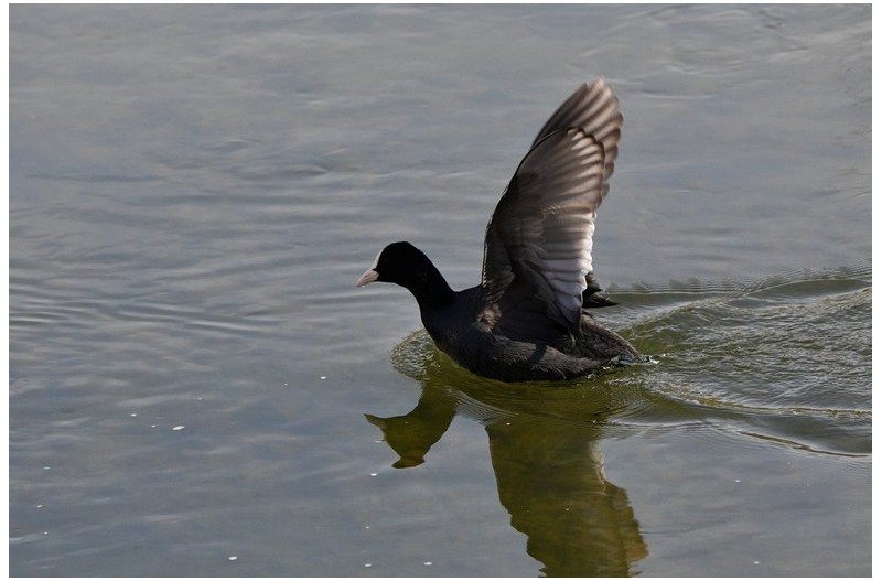 남. 강. 변. 산책