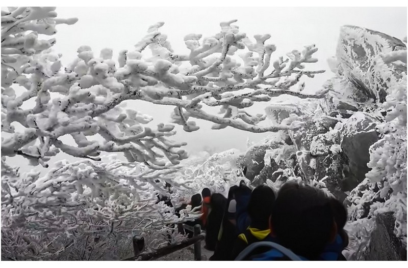 상고대가 아름다운 그곳