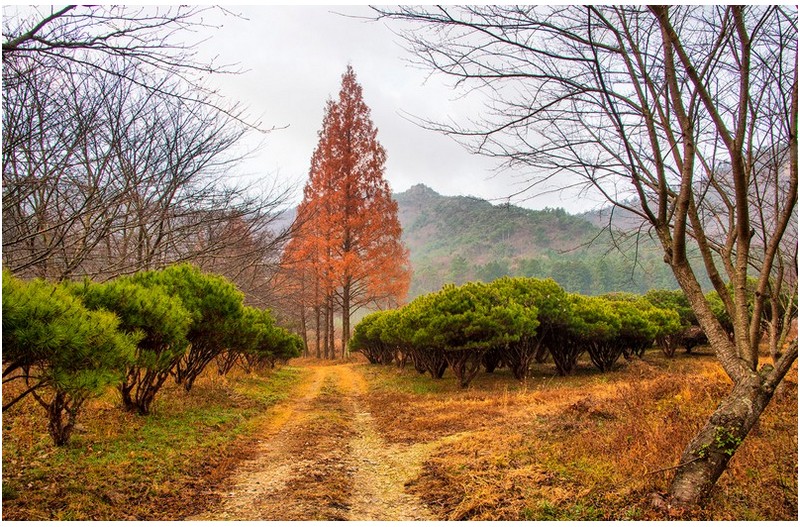 가을이 가는 길목